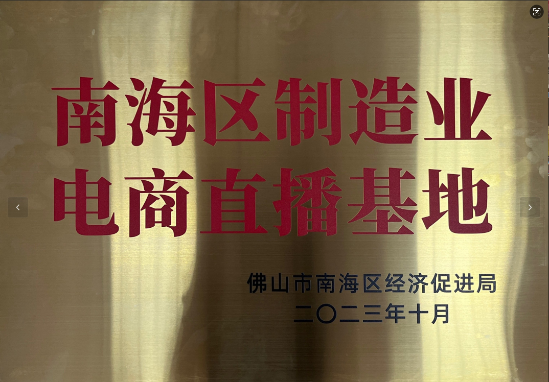 南海区制造业电商直播基地